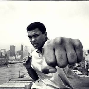 Meet your Posher, Emmanuel